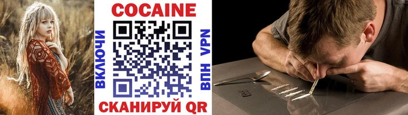 COCAIN 98% Судак