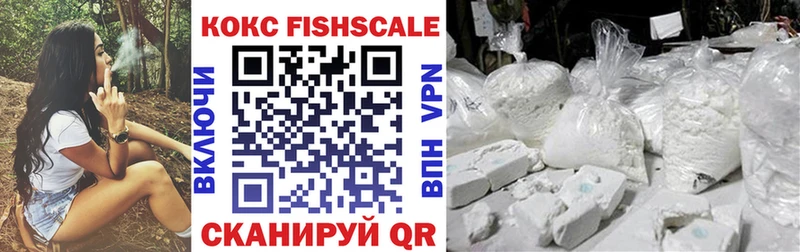КОКАИН FishScale  Купить  Судак 