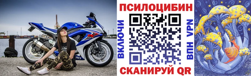 Купить где  Судак  Псилоцибиновые грибы прущие грибы 